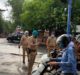  87 arrested in Lock down violation in Agra on 31st May
