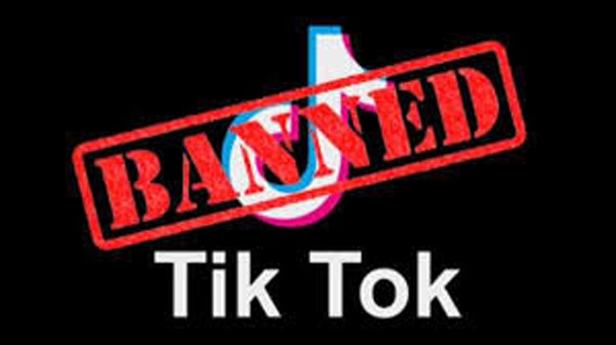 Public Reaction after IT ministry ban China Tik Tok & 59 other app in