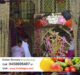  Shri Banke Bihari temple, Vrindavan open for devotees from 25th October #mathuravrindavan
