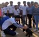  Unique effort in Agra: Radium collar band tied  street dogs# agranews