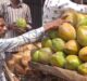  Demand for coconut water in the city, tremendous increase in sales#agranews