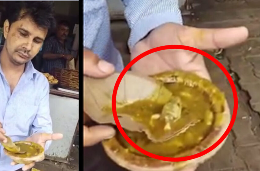  Video: Lizard’s severed head found in a restaurant’s vegetable in Agra#agranews