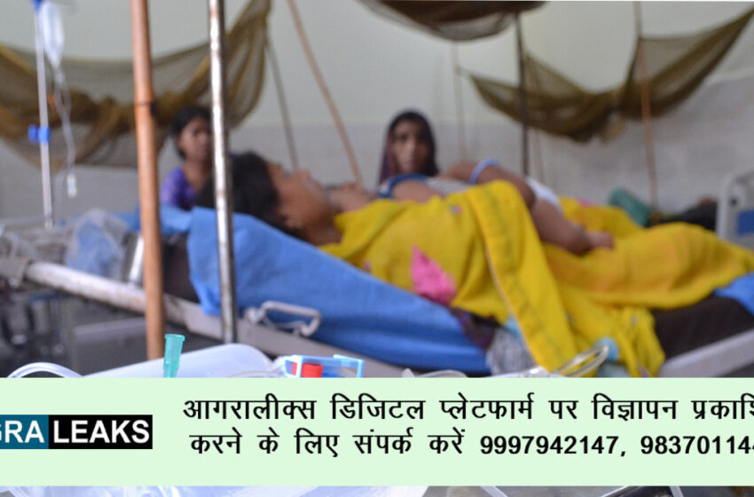  Agra News : 54 Dengue active case in Agra, Junior doctor, Nurse report positive #agranews