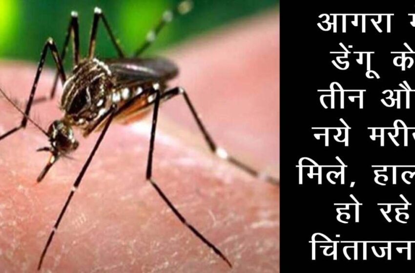 Dengue D 2 Strain in Agra: 3 Dengue confirm case in Agra #agranews