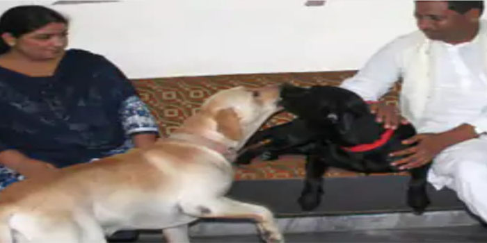  MP Dr Ramshankar Katheria missing labrador found in Runkata, Agra #agranews