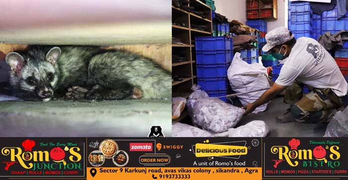 Agra News: Rescue of civet cat from shoe manufacturing factory in Agra…#agranews