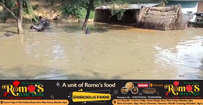  Agra News: 20 villages submerged in Chambal River floods, The flood report is going to the CM…#agranews