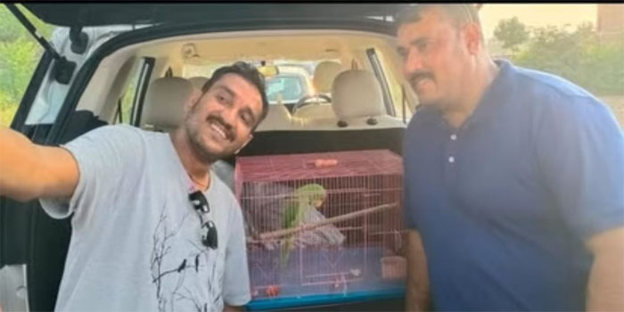  Agra News : Missing Pet parrot found after 37 days in Fatehpur Sikari Agra #agra