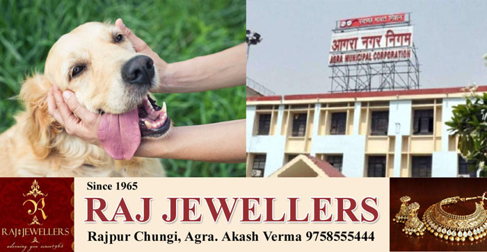  Agra News: Now registration is mandatory for keeping dogs, cats in Agra…#agranews