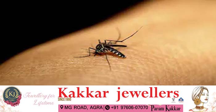 Agra News: Mosquitoes bite even in 11 degree Celsius temperature in Agra…#agranews