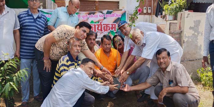  Chinta Haran Park Committee started plantation drive on the eve of World Environment Day