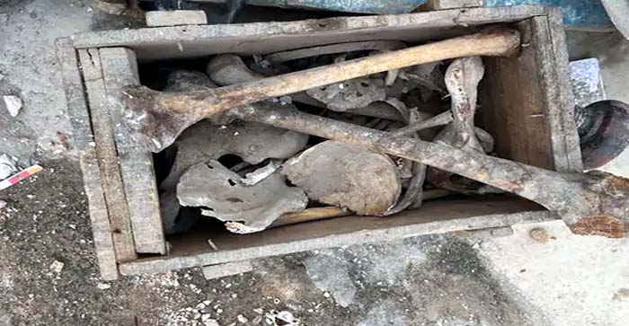  Agra News: Bones found in a box excavated from an old house in Agra…#agranews