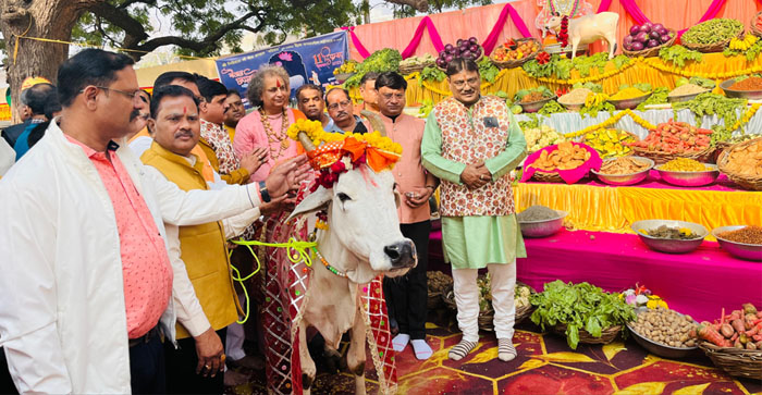  Agra News: Chhappan bhog offered for cows in Agra…#agranews