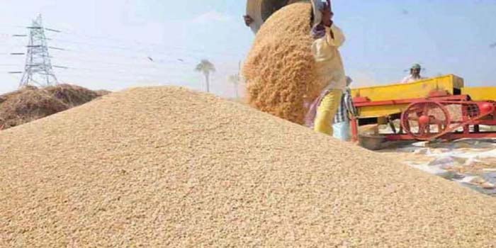 Wheat procurement will start from March 1, farmers will have to register, support price will increase by Rs 150 per quintal