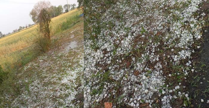  Agra News: It rained with storm in Agra. white sheet of hail…#agranews