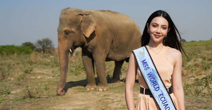  Agra News: Miss World Ecuador 2024 Sandra Alvarado came to Agra. Met elephants and bears in Wildlife SOS…#agranews