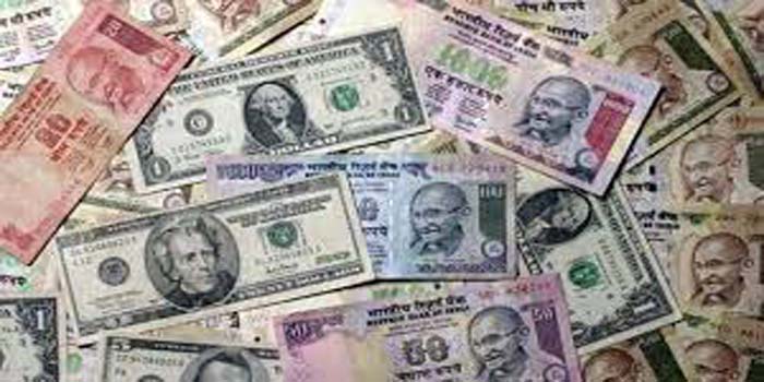  India’s economy grows fastest, foreign exchange reserves reach record level