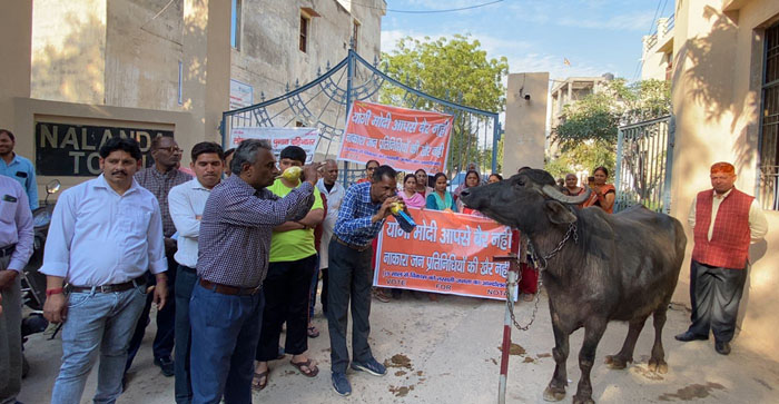  Agra News: Colony residents raise alarm in front of buffalo regarding sewer, waterlogging and drainage in Agra…#agranews
