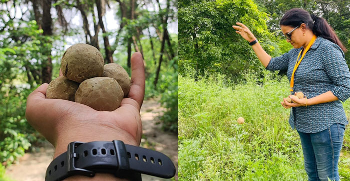  Agra News: Agra’s Prof. Anuradha made earth ball, wherever you throw it, a plant will grow there…#agranews
