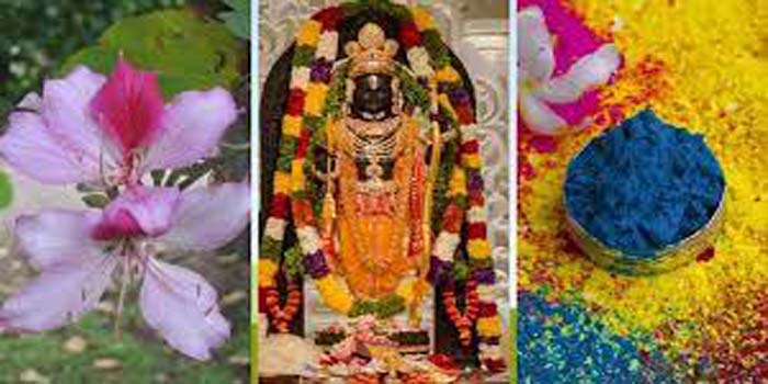  Ramlala will play Holi with Gulal made of Kachnar flowers, scientists are preparing special gulal