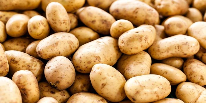  Potato is showing tantrums this time, demand increased in Navratri, prices expected to increase further, goods for cold storage will also arrive