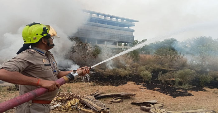  Agra News: Fire broke out in bushes, fire brigade brought it under control…#agranews