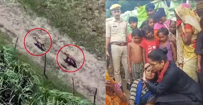  Terror of wolves in Uttar Pradesh, a two-year-old innocent girl sleeping with her mother was picked up by a wolf and eaten