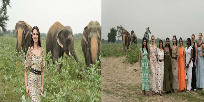  Agra News : Miss Universe Great Britain Christina Dela Cruz Chalk Visit Elephant Conservation & care Center Agra #Agra