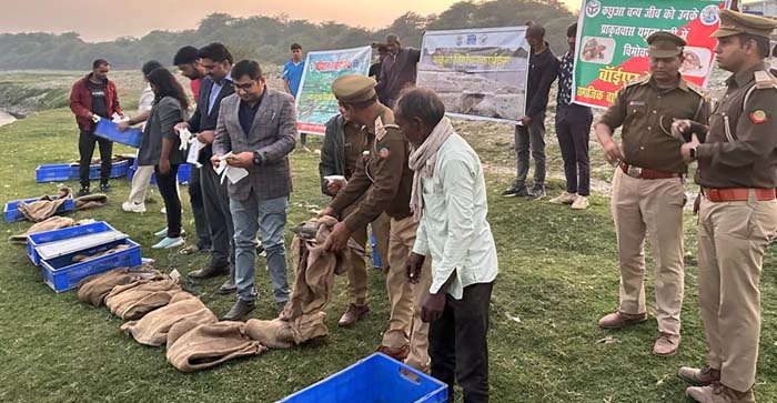  Agra News: 15 soft shell turtles of endangered species were released into their natural habitat…#agranews